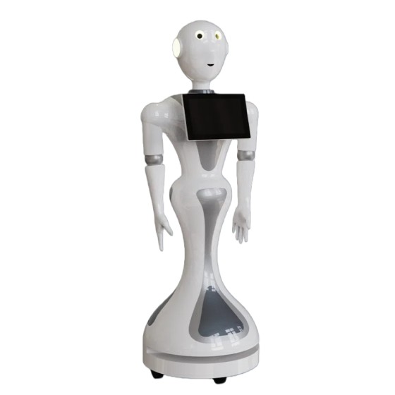 Business reception robot human welcome robot