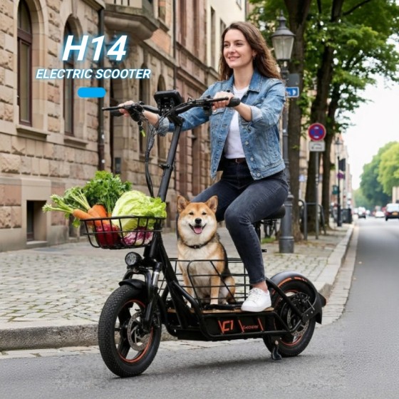 600W Motor Electric Scooter for Adults – 14-inch Pneumatic Tire, Long Range