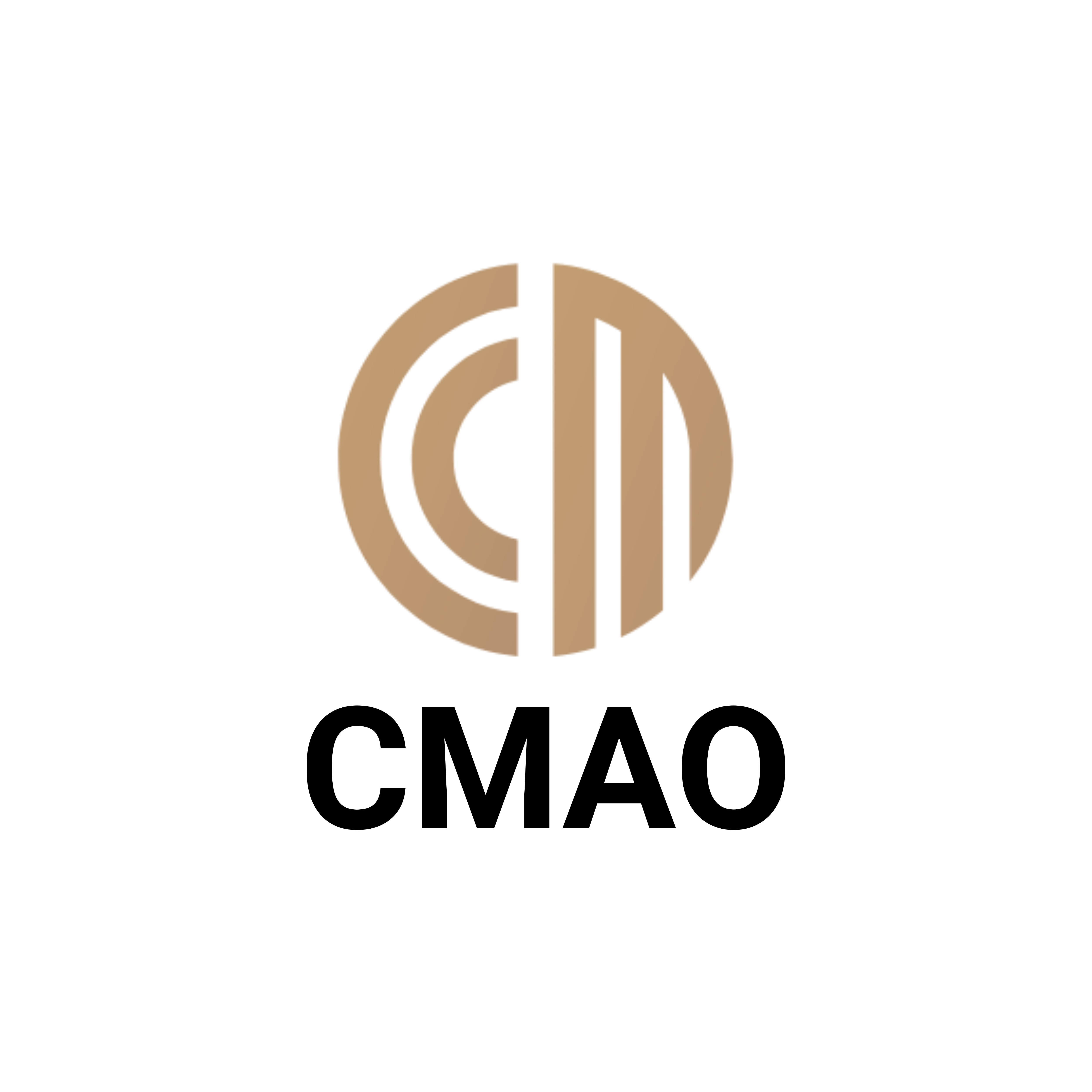 CMAO Trade | Professional Overseas Warehouse & Supplier - One-Stop Global Sourcing & Fast Fulfillment